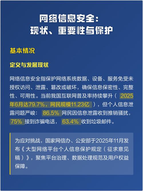 网络信息安全:现状,重要性与保护