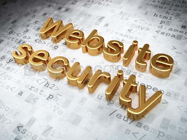 seo网络开发理念黄金网站数字安全